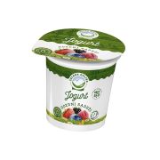 Zelene Doline Jogurt voćni Šumsko voće 2,5%